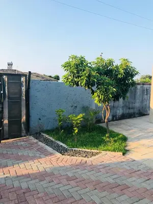 a tree in a yard next to a building at Muhle Guesthouse in Giyani