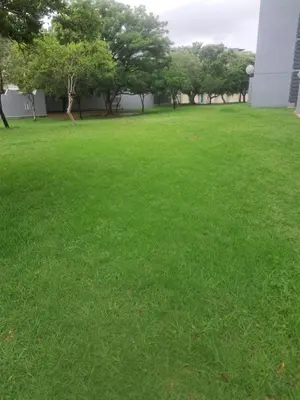 a field of green grass with trees and a building at Menlyn Place Cityscape in Pretoria