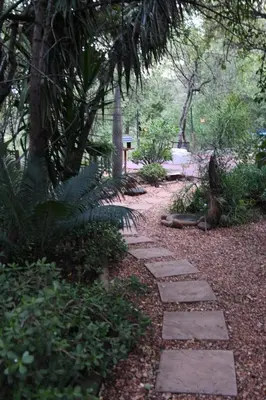 a garden with a stone walkway in a park at Woodlandsbushlodge in Hoedspruit