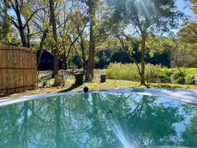 a swimming pool in a yard with trees at Hot spring tiny home in Limpopo in Gemsbokfontein