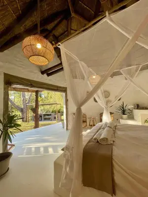 a bedroom with a bed with a mosquito net at Hot spring tiny home in Limpopo in Gemsbokfontein
