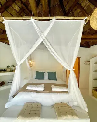 a bedroom with a bed with a mosquito net at Hot spring tiny home in Limpopo in Gemsbokfontein