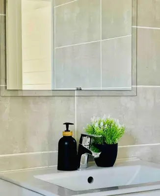 a bathroom sink with a soap dispenser and a plant at SoulSerene Inn in Pretoria