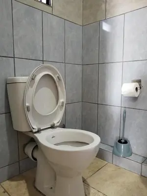 a bathroom with a toilet with the seat up at Capital Park entire rental unit in Pretoria