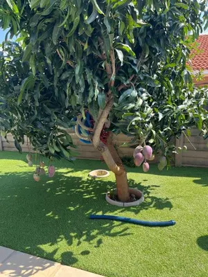 a tree in a garden with a hose next to it at Berry Home 4U in Pretoria