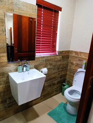 a bathroom with a sink and a toilet at Elephant Villa in Nelspruit