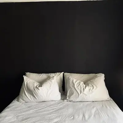 The Ripanga Nest