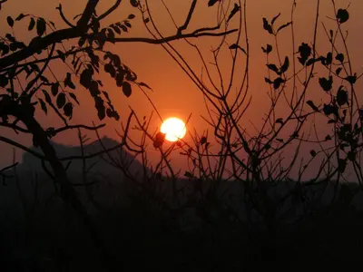a sunset in a field with a tree at Tjhora Sunset Cottage in Cambridge