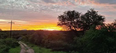 a sunset over a field with a dirt road at Tjhora Sunset Cottage in Cambridge