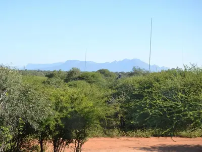a field with trees and mountains in the background at Empatia Lodge in Hoedspruit