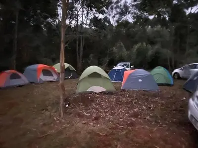a group of tents in a field with trees at Shyalongubo dam cabin in Barberton