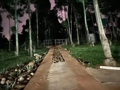 a path in the middle of a park with trees at Shyalongubo dam cabin in Barberton