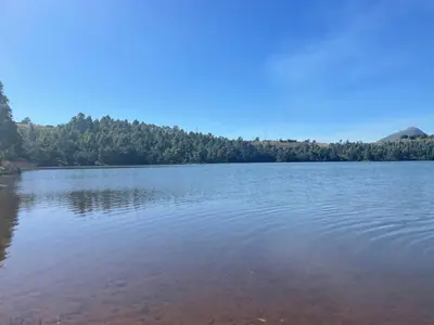 a large body of water with trees in the background at Shyalongubo dam cabin in Barberton