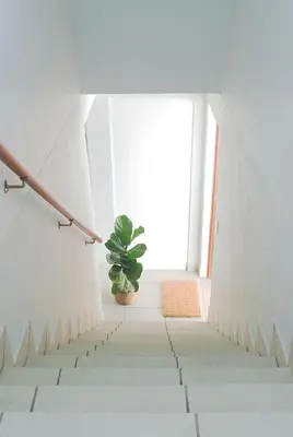 a plant sitting on the side of a stairway at Ryneveld Rest in Centurion