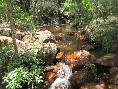 a stream of water with rocks in a forest at Guesthouse in the Waterberg in Ouklip