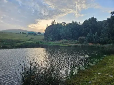 a body of water with trees in the background at Kwaggaskop Game Farm - near Dullstroom in Belfast