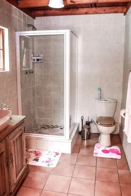 a bathroom with a shower and a toilet at Ukhanya resort in Midrand