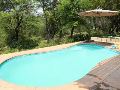 a large blue swimming pool with an umbrella at Meulensrus in Hoedspruit