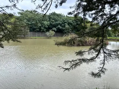 a large body of water with a fence and trees at Shatisky Serene Escape in Pretoria