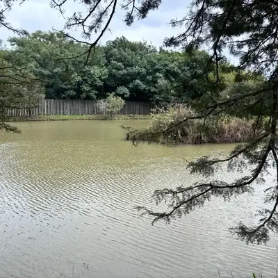 Shatisky Serene Escape