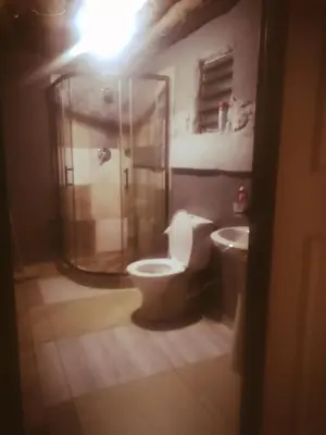 a bathroom with a toilet and a shower at Baroka Overnight Accommodation in Polokwane