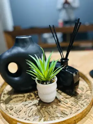 a table with two vases and a potted plant on it at Riamus Luxury Apartment in Midrand