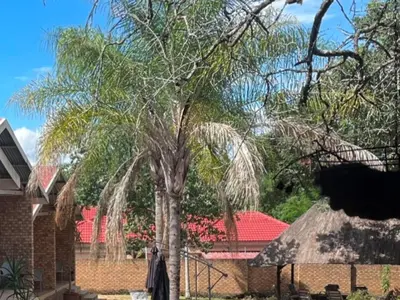 a palm tree in front of a brick building at Hazyhaven Guest House in Hazyview