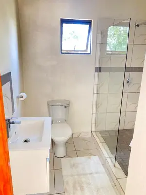 a bathroom with a toilet and a shower and a sink at 2 Bedroom Cottage sleeps maximum 4 Buhlebendalo in Benoni