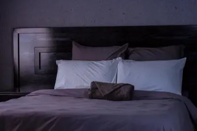 a bed with white pillows and a head board at Thulamahashe Guest farm in Thulamahashi