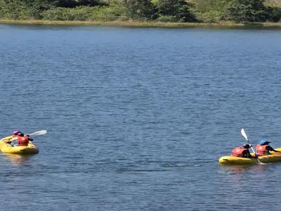 three people are in kayaks on a lake at Kruger Island Resort in White River