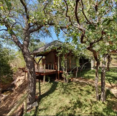 a small house with a tree in front of it at Sunset Game Farm in Mopane