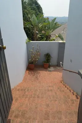 a walkway with potted plants on the side of a building at 512 Berea in Pretoria