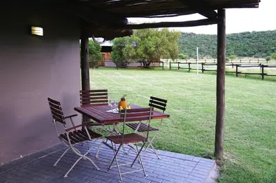 a wooden table with chairs and a cat sitting on it at Thaba Pitsi Safari Lodge in Bela-Bela