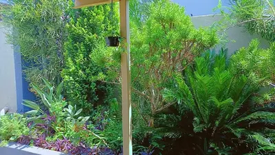 an umbrella in a garden with trees and plants at Eleven on Coulbrough in Midrand