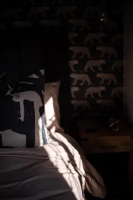 a bed with a pillow on it in a dark room at Eliá Dendró Víla in Lydenburg