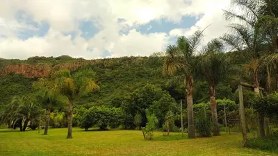 a field with palm trees and a mountain at Nomads Rest in Sterkspruit