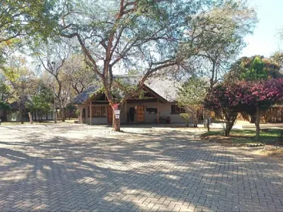a house with a tree in the middle of a driveway at Rondevue Game Lodge in Warmbaths