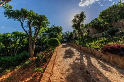 a dirt road with trees on the side at Enso Botanico in Hartbeespoort