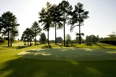 a view of a golf course with trees in the background at Peace and Comfort - Greenway Woods in White River