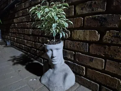 a statue of a head with a plant in it at Indulge luxury overnight accommodation in Middelburg