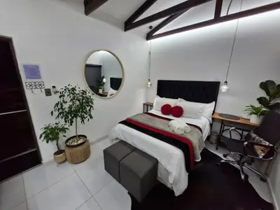 a bedroom with a bed with red pillows and a mirror at Indulge luxury overnight accommodation in Middelburg