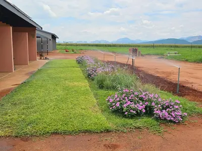 a row of purple flowers next to a building at Zondereinde Accommodation in Wag ʼn Bietjie Draai