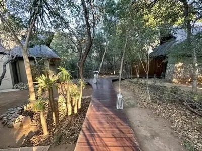 a swing in a yard with trees and a house at Am lodge in Luphisi