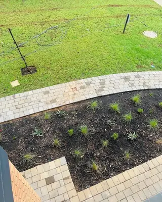 a garden with some plants in the grass at Calm & Cozy Apartment in Pretoria