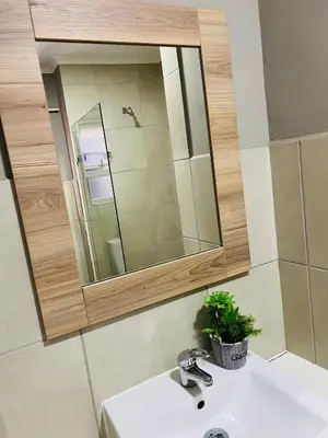 a bathroom sink with a mirror and a plant on it at Hartmanz Laxury Apartments in Pretoria