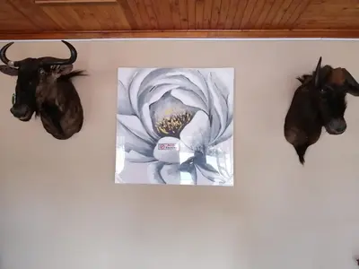 a painting of a flower on a wall with horns at Royal guest lodge in Middelburg