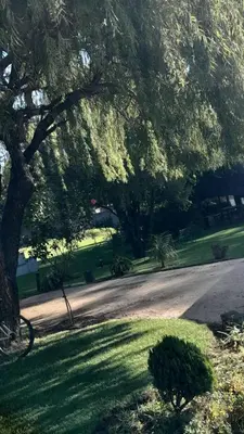 a park with a tree and a road at Emasimini Cottages in Midrand