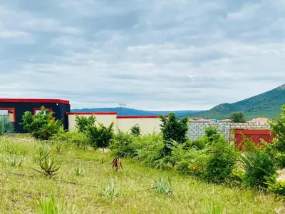 a dog standing in a field next to a building at Morning Star Guest House & Lodge in Burgersfort