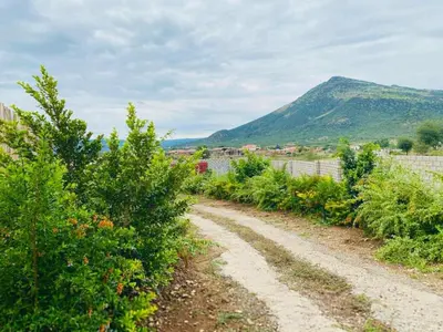 a dirt road with trees and a mountain in the background at Morning Star Guest House & Lodge in Burgersfort