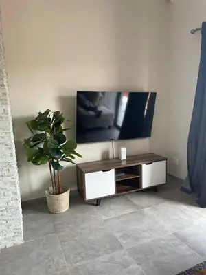 a living room with a tv and a potted plant at The Gorge View at Highland Gate in Dullstroom